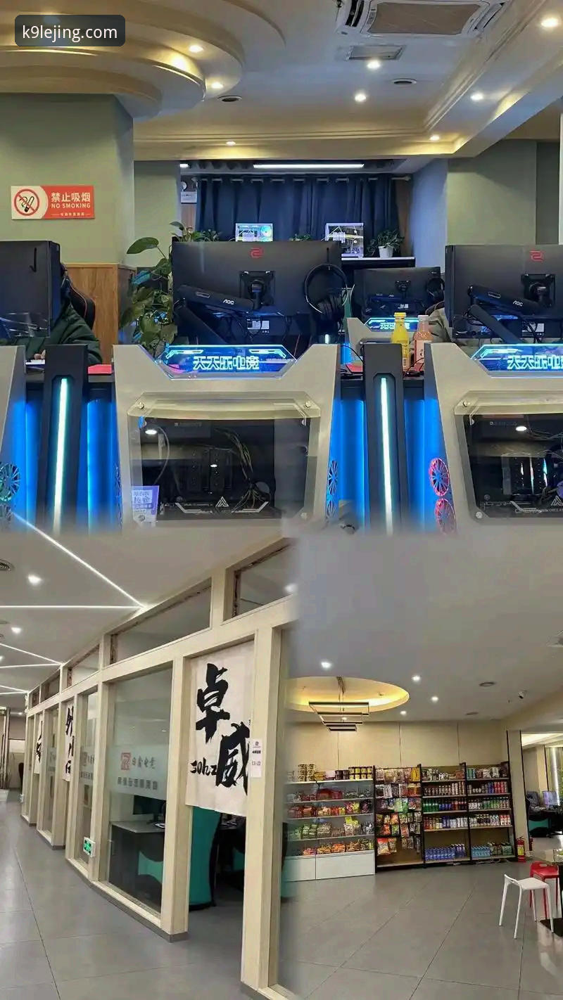 乐竞注册流程 乐竞注册流程最新动态:v2.0.5版本上线,3分钟完成账号激活全攻略